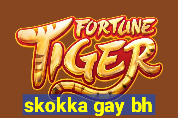 skokka gay bh